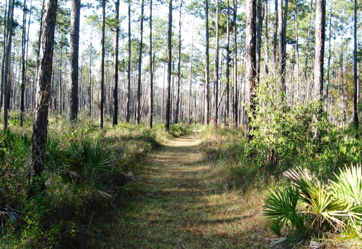 Chain of Lakes Trail