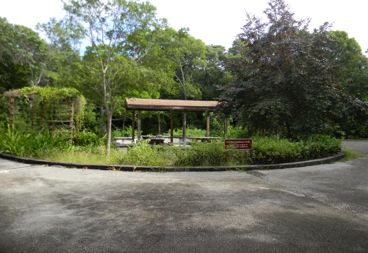Picnic Shelter and Butterfly Garden at Dagny Johnson Key Largo Hammock Botanical State Park