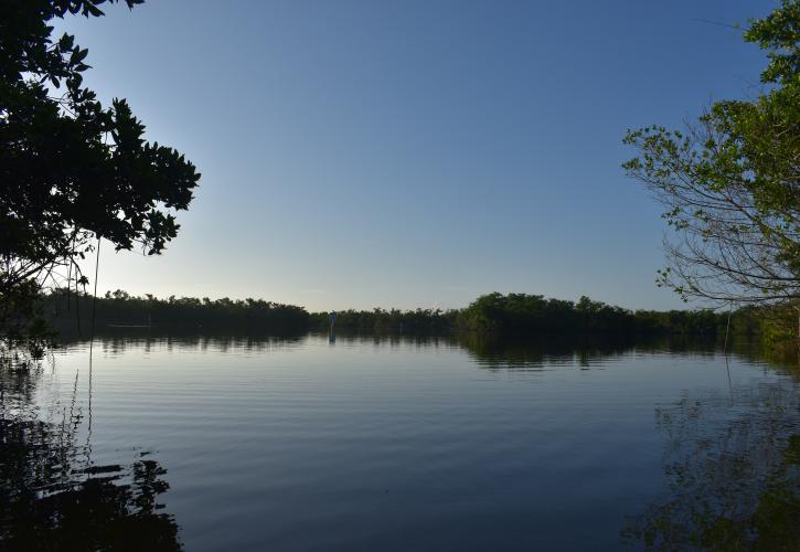 A view of a lake at sunset in Fakahatchee Strand Preserve State Park.
