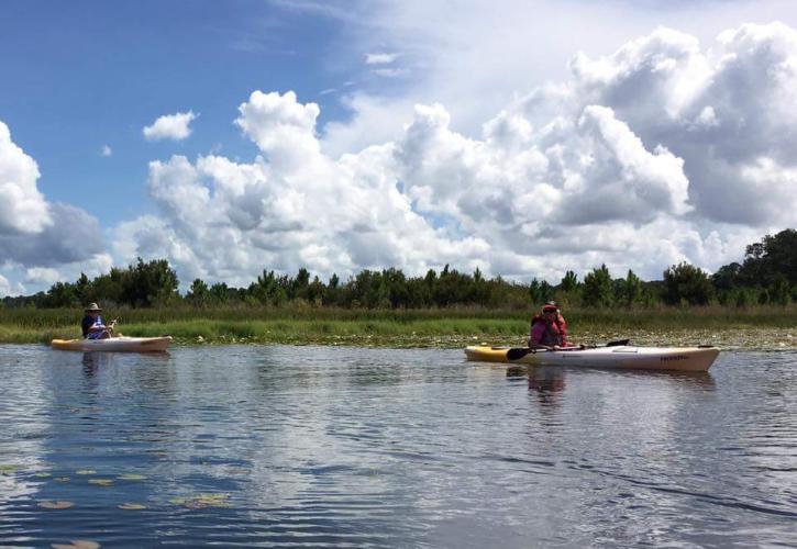 Paddling at Dunns Creek