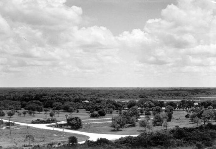 A view from the fire tower overlooking MRSP