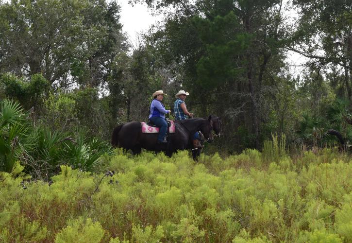 Equestrian visitors riding the trails