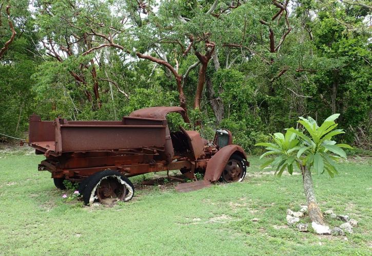 A1936 Ford truck sits in back of the house near the edge of the hammock.