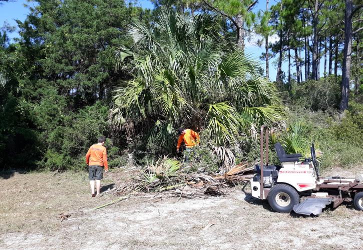 Grayton Beach State Park