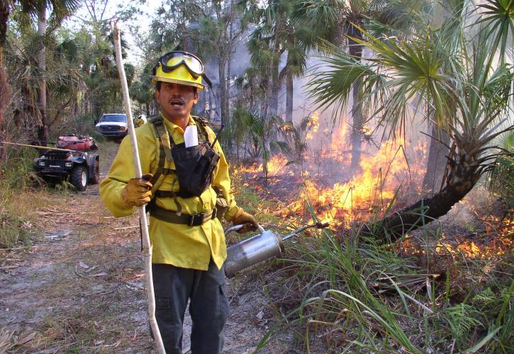 Man in yellow burn clothes during a prescribed fire