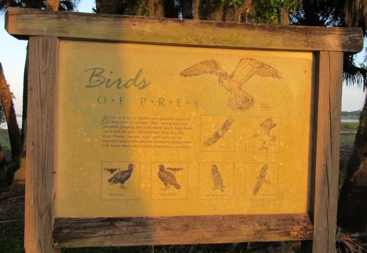 A sign on the Birdwalk shows pictures and gives information about common Birds of Prey