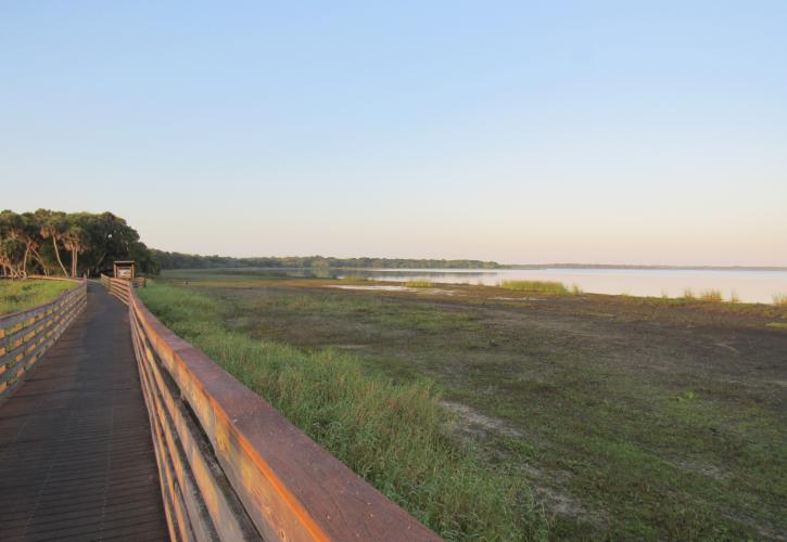 A view from the Birdwalk including the nearby marsh and the shore of the Upper Myakka Lake