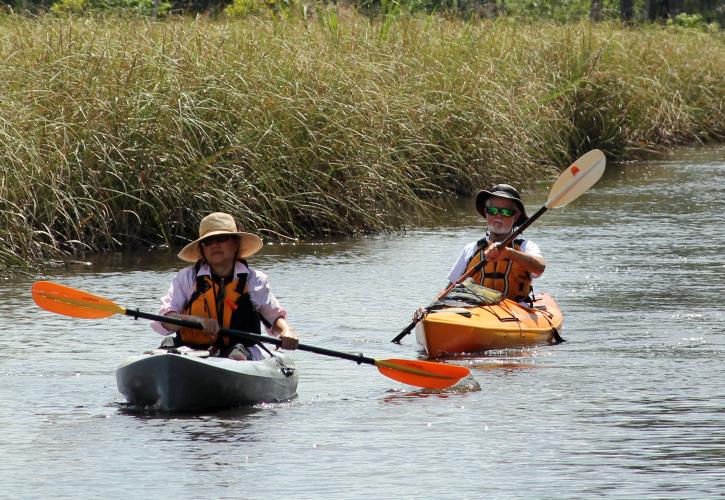 Visitors paddling down the Ochlockonee River. 