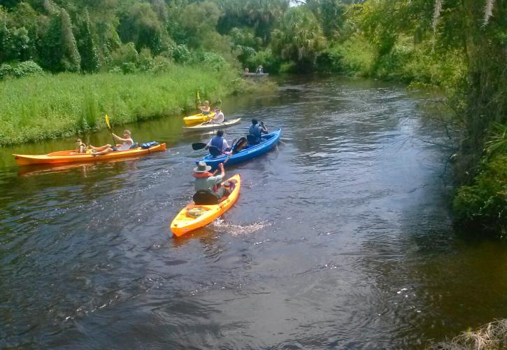 Canoeing on the Little Manatee River