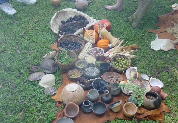 A view of a bunch of artifacts found on the property.