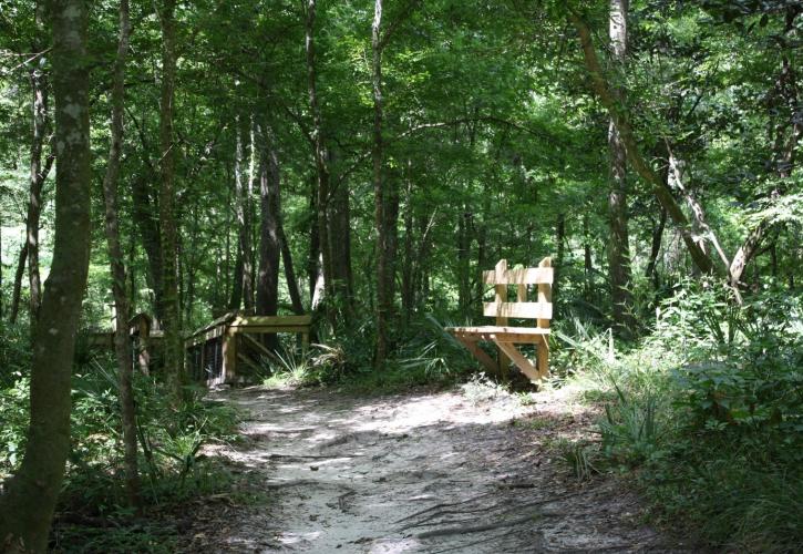 Bench in the shade on a path at Madison Blue Spring