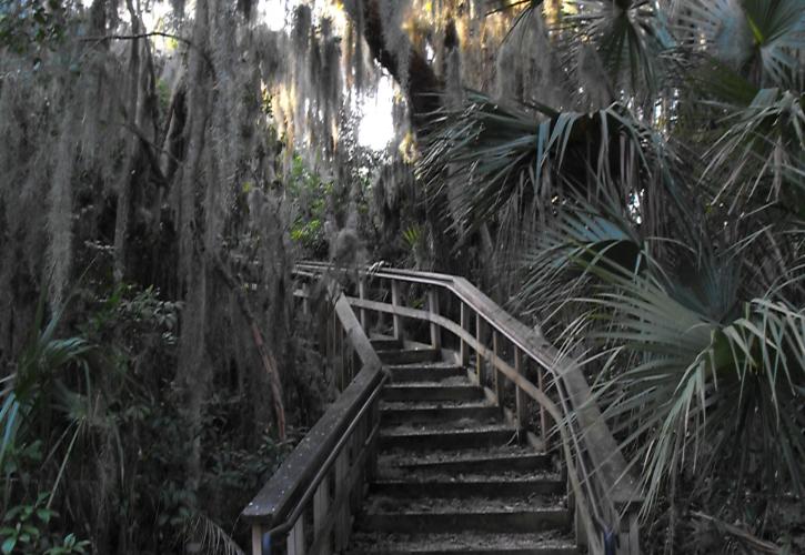 A view of the stairs leading up to the burial mound.