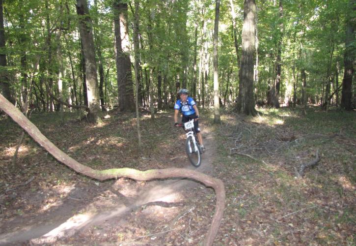 San Felasco Hammock Mountain Biking 