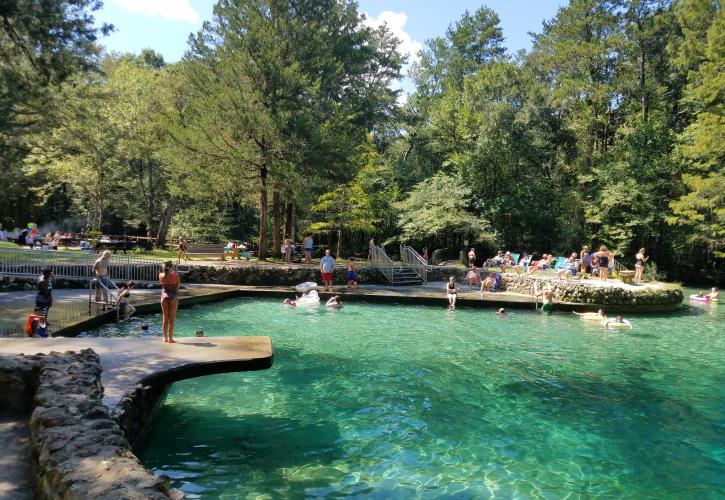 Ponce de Leon Springs