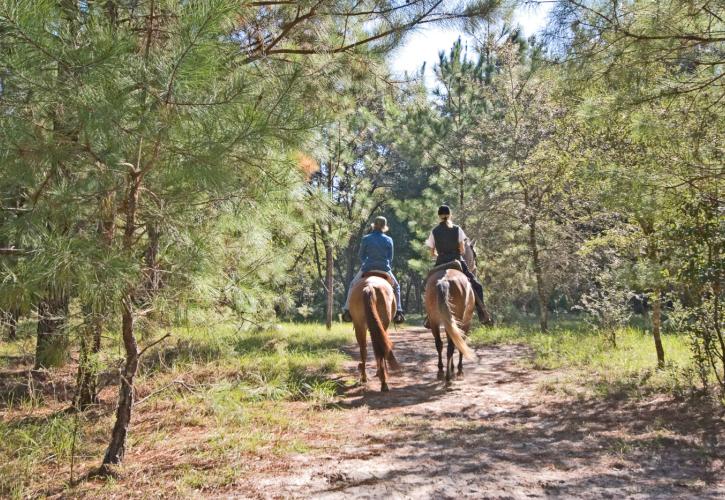 Two women riding the trail on horseback