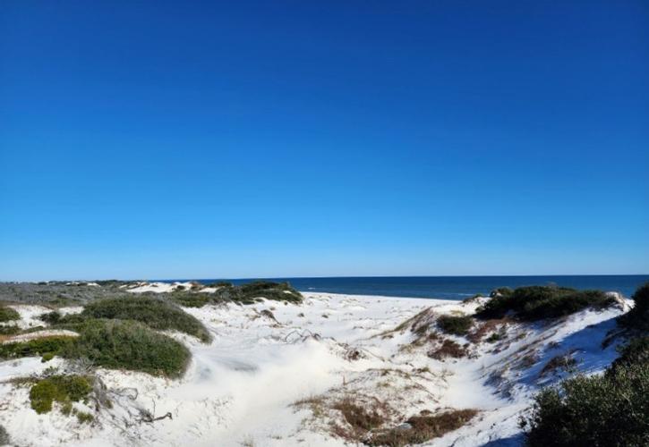 Beach view at the park