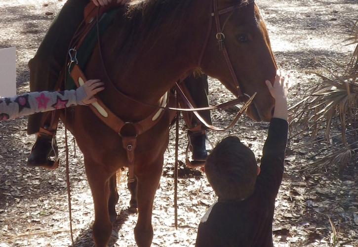 San Felasco Hammock Ranger on Horse 