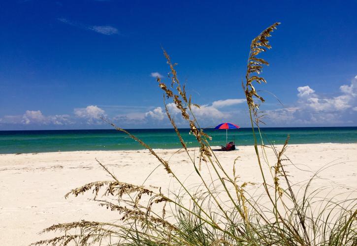 Dr. Julian G. Bruce St. George Island State Park