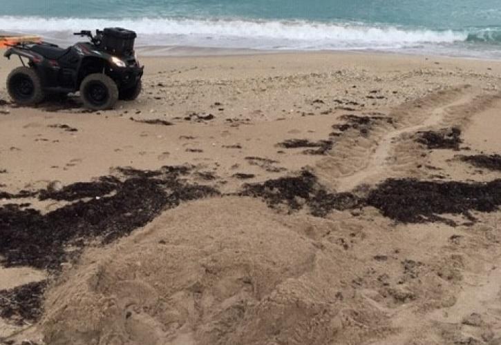 ATV next to a sea turtle nest