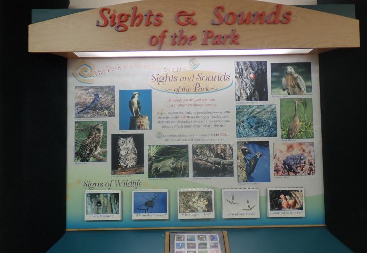 Interactive displays about wildlife are found at the Nature Center.
