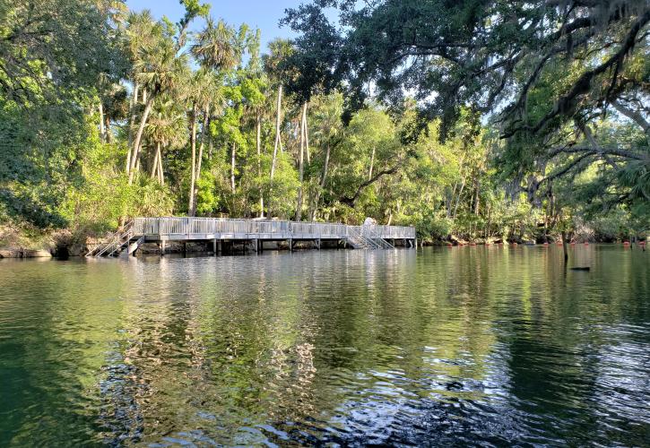 Spring Run Swim Dock