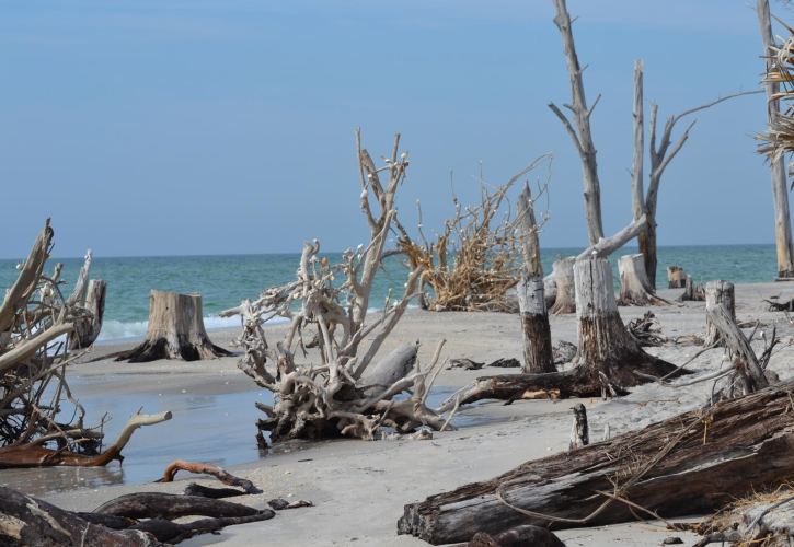 Stump Pass Beach 2