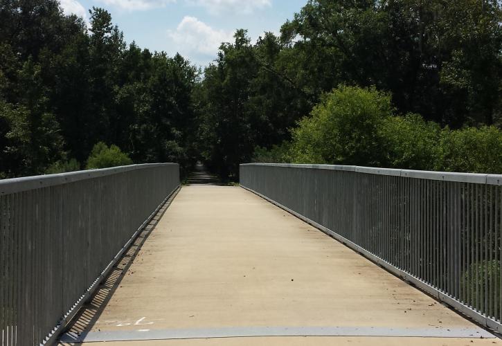 Palatka to St. Augustine Trail Bridge