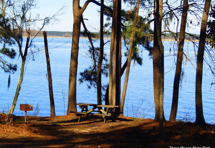 Three River Picnic