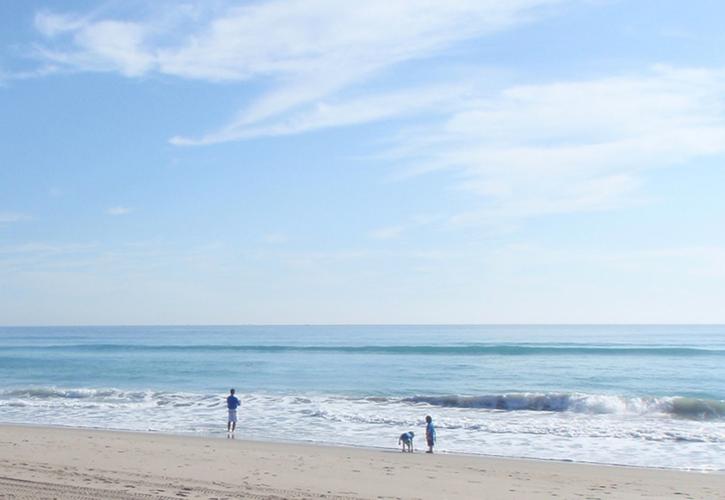 Visitors at John D. MacArthur Beach State Park