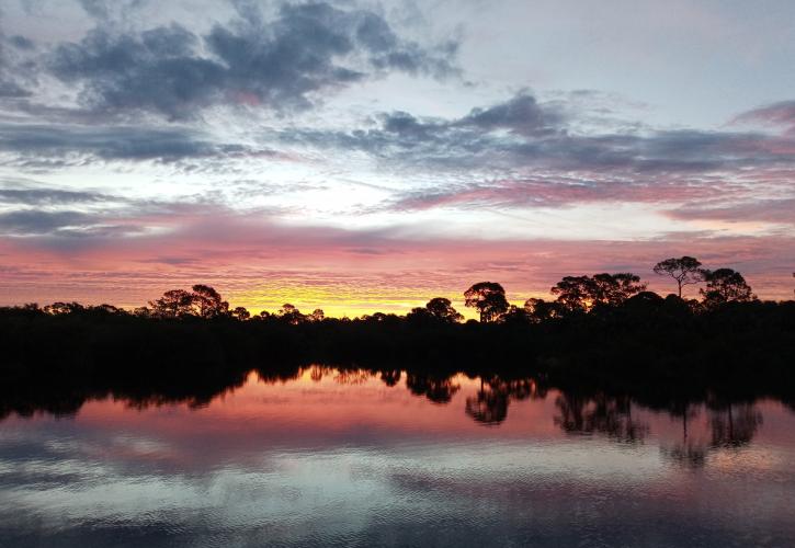 The sunrise over the water.