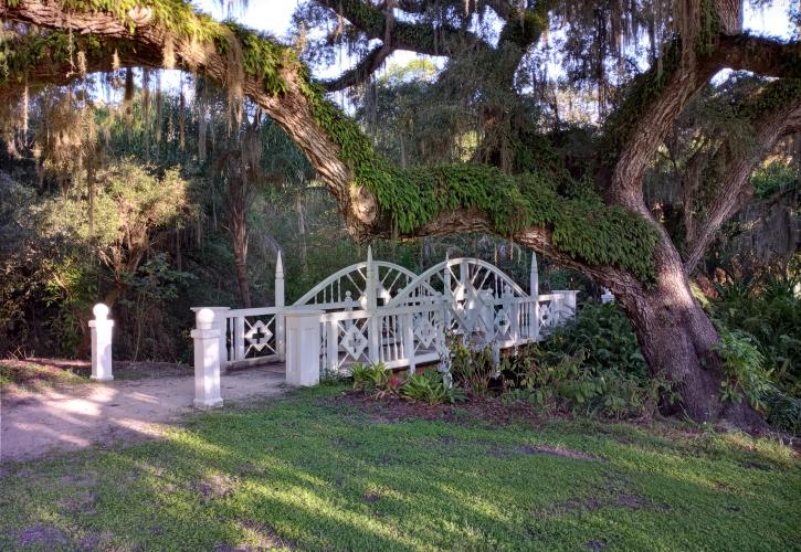 White bridge at the park.