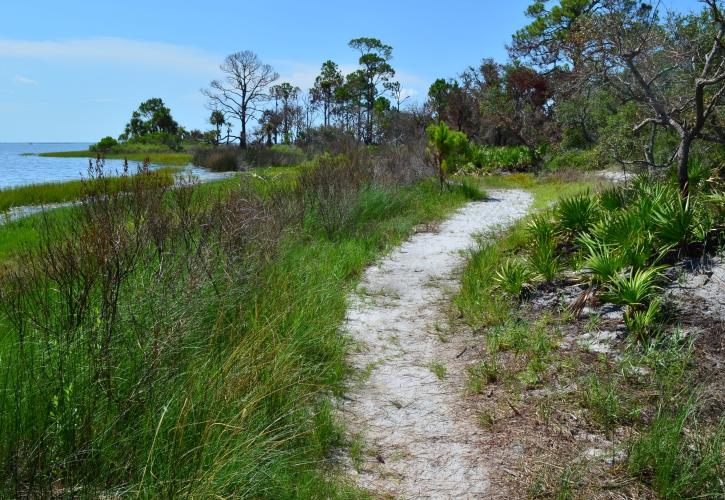 Trail view