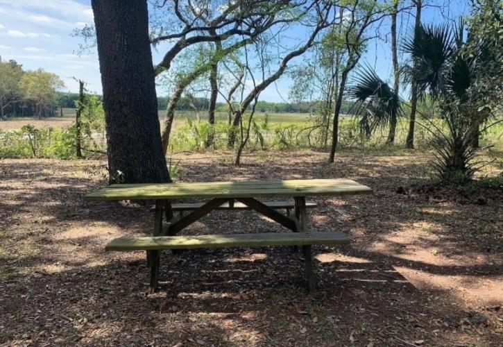 a picnic table sits in a clearing under trees