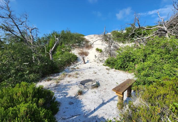 A dune protects this primitive campsite.