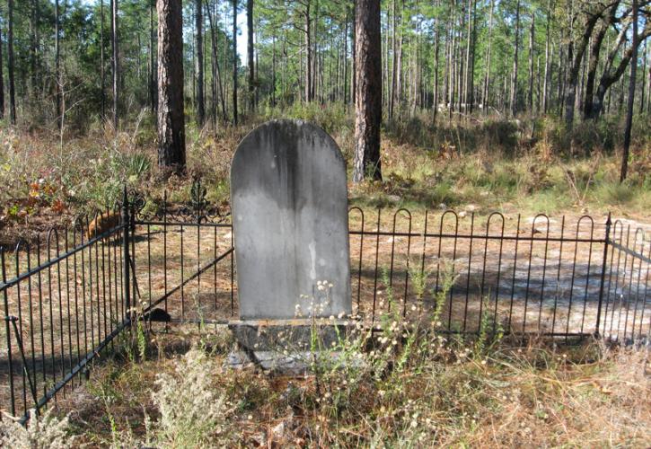 Image of a single headstone enclosed by a fence and covered with grass in the old columbus cemetery at suwannee river state park. Pine sandhill habitat is seen in the background.