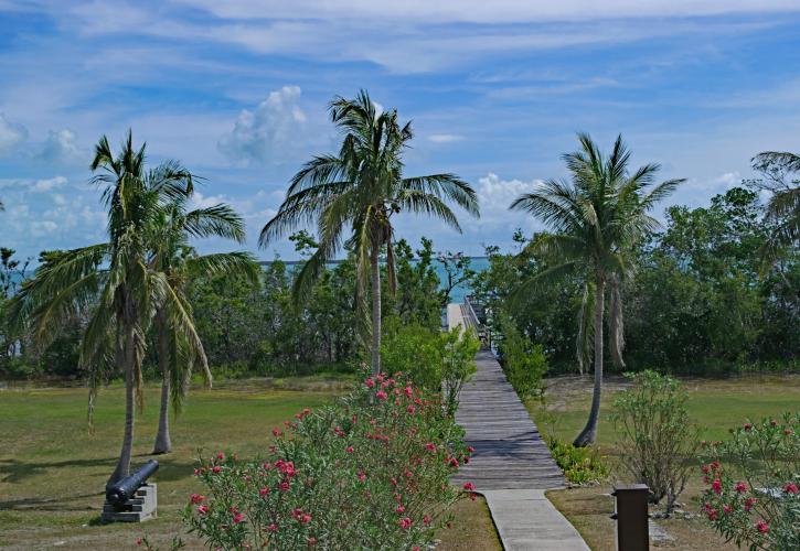 view from the house showing the coconut palms, walkway and blue water. 