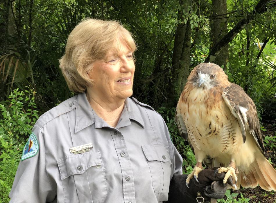 Volunteer Sue Bathauer