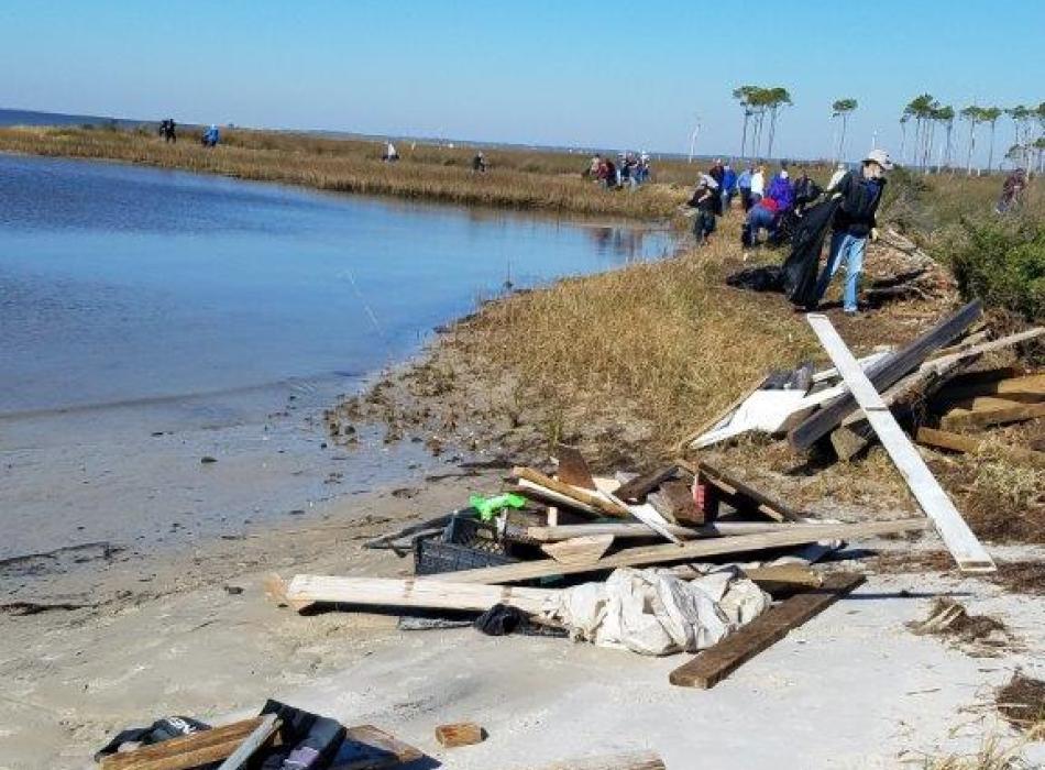 Volunteers walk the shoreline stacking piles of debris. 