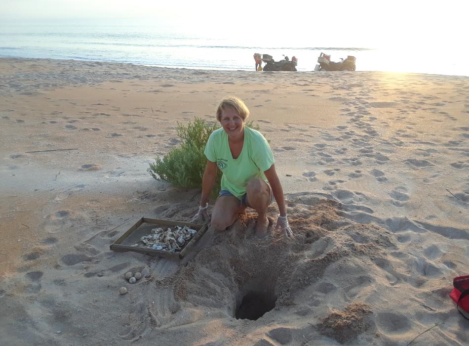 Sea turtle patrol volunteer Patty Steman inventorying a nest 