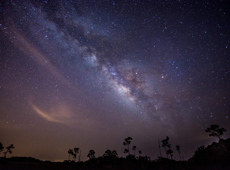The night sky at Kissimmee Prairie Preserve State Park.