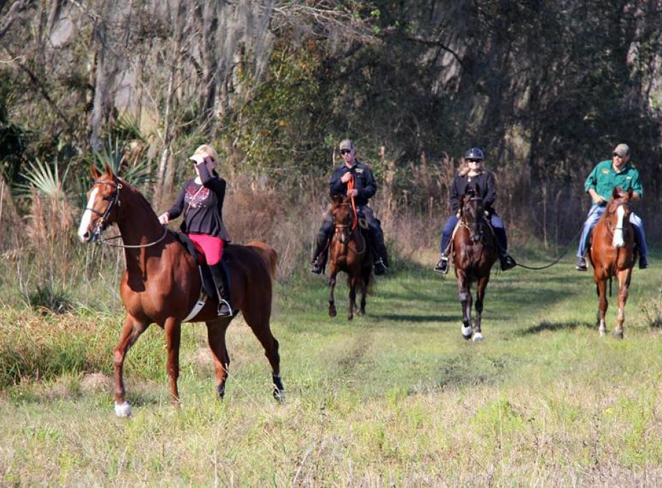 Four horseback riders at Colt Creek