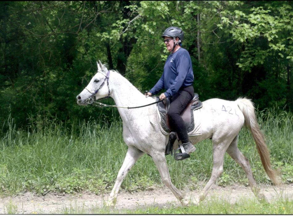CFG Volunteer Dr. Doug Shearer riding a white horse