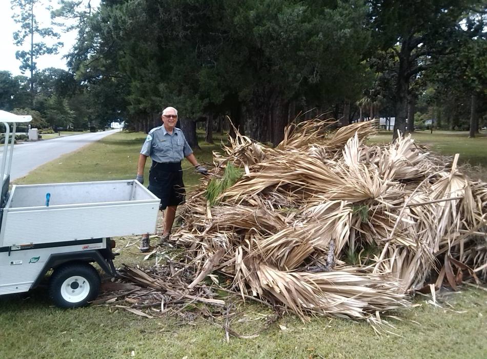 Volunteer Terry Wilson unloads palm fronds from the back of a golf cart. 