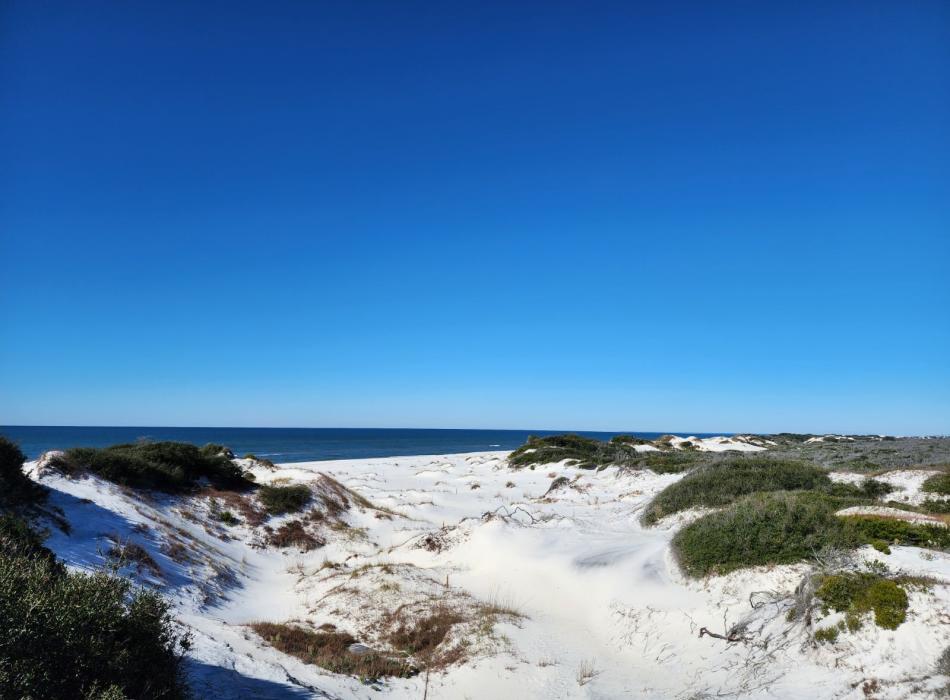 sand on the beach