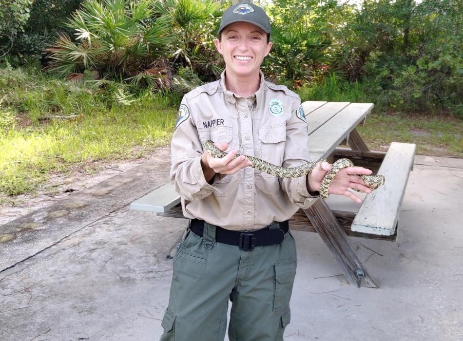 Park Services Specialist Amanda Nappier holding a Florida King Snake 